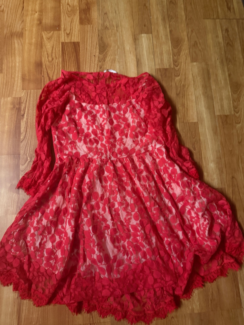 Free People Red Sheer Lace Floral Chemise